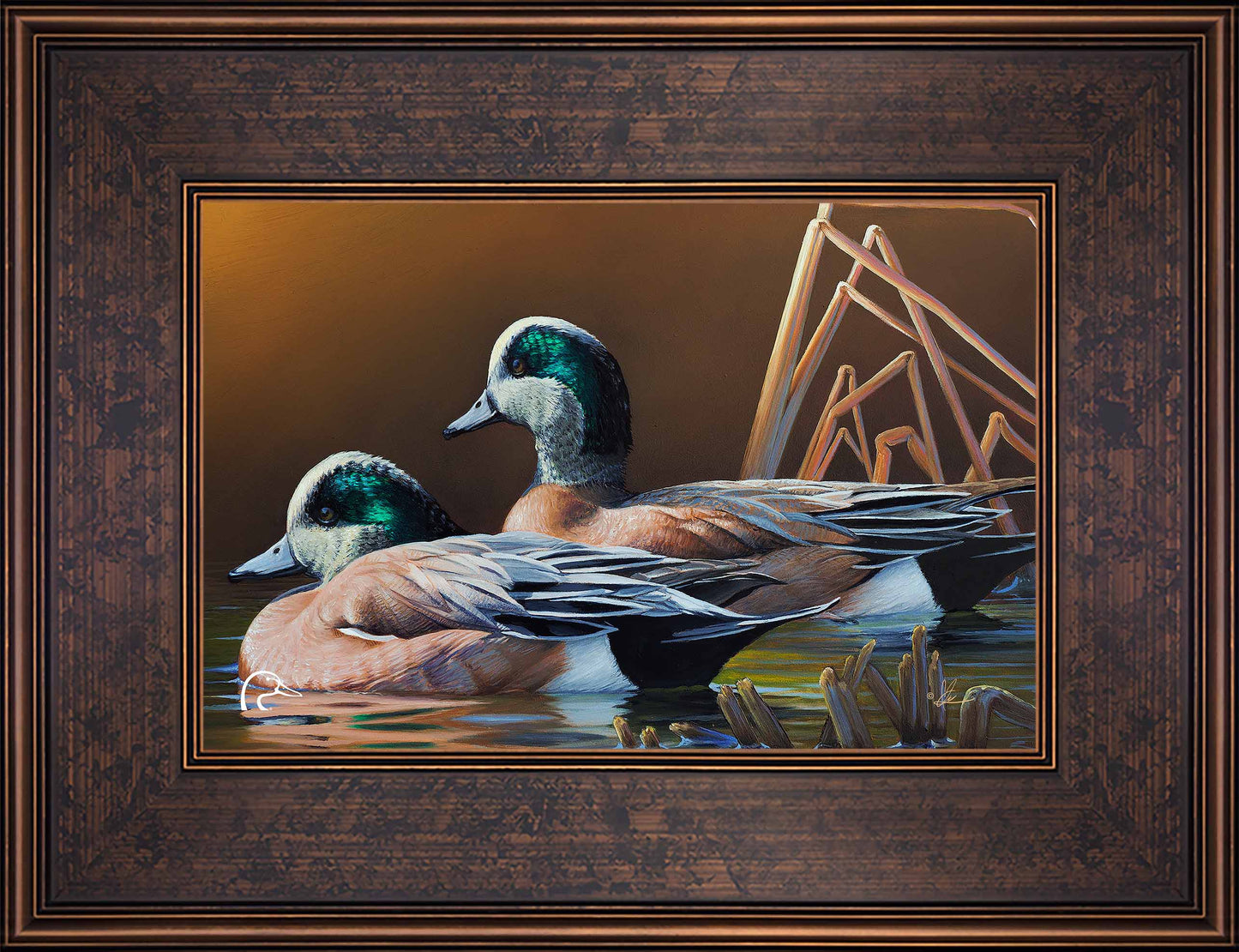 American Widgeon Limited Edition Canvas - Official Ducks Unlimited
