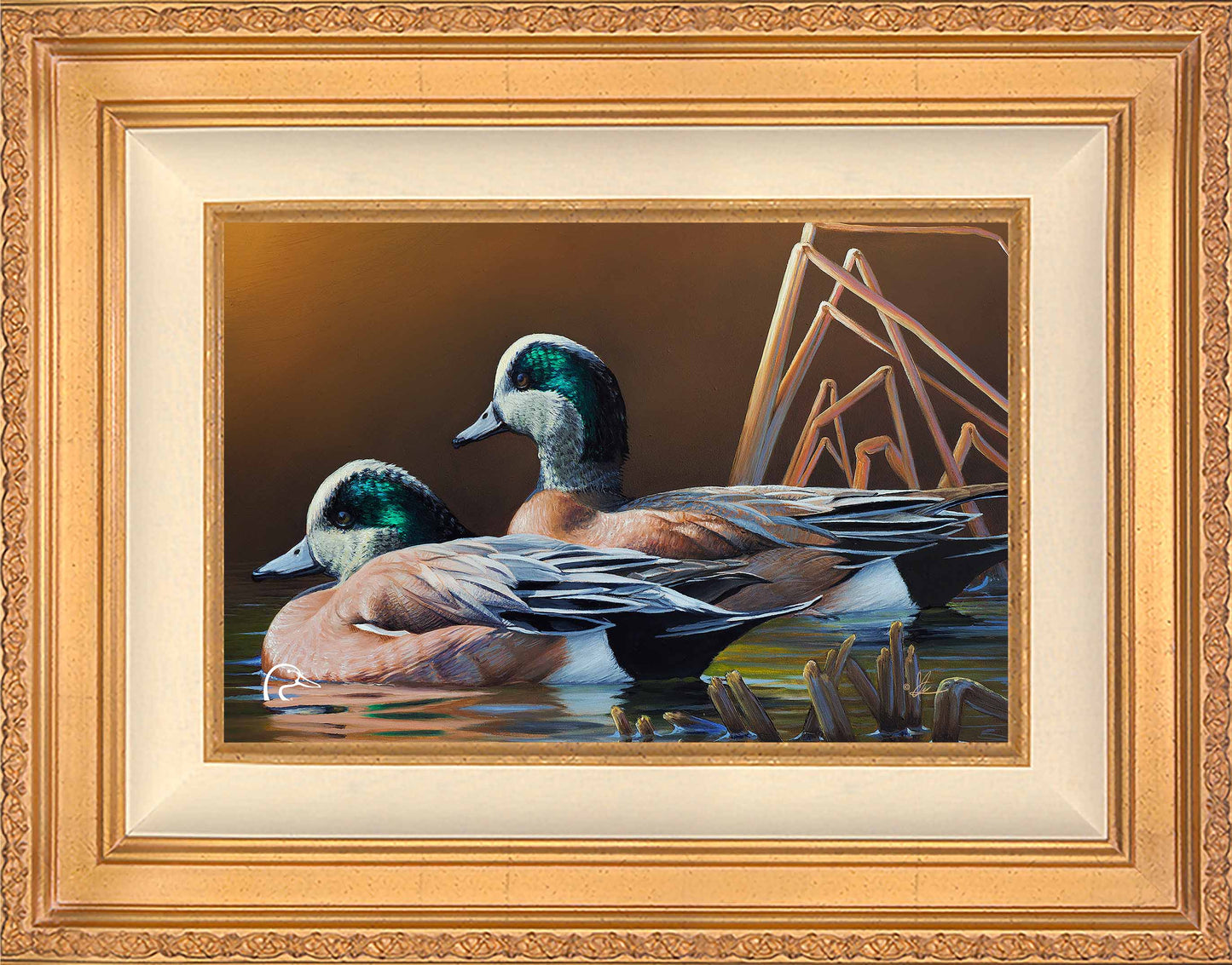 American Widgeon Limited Edition Canvas - Official Ducks Unlimited