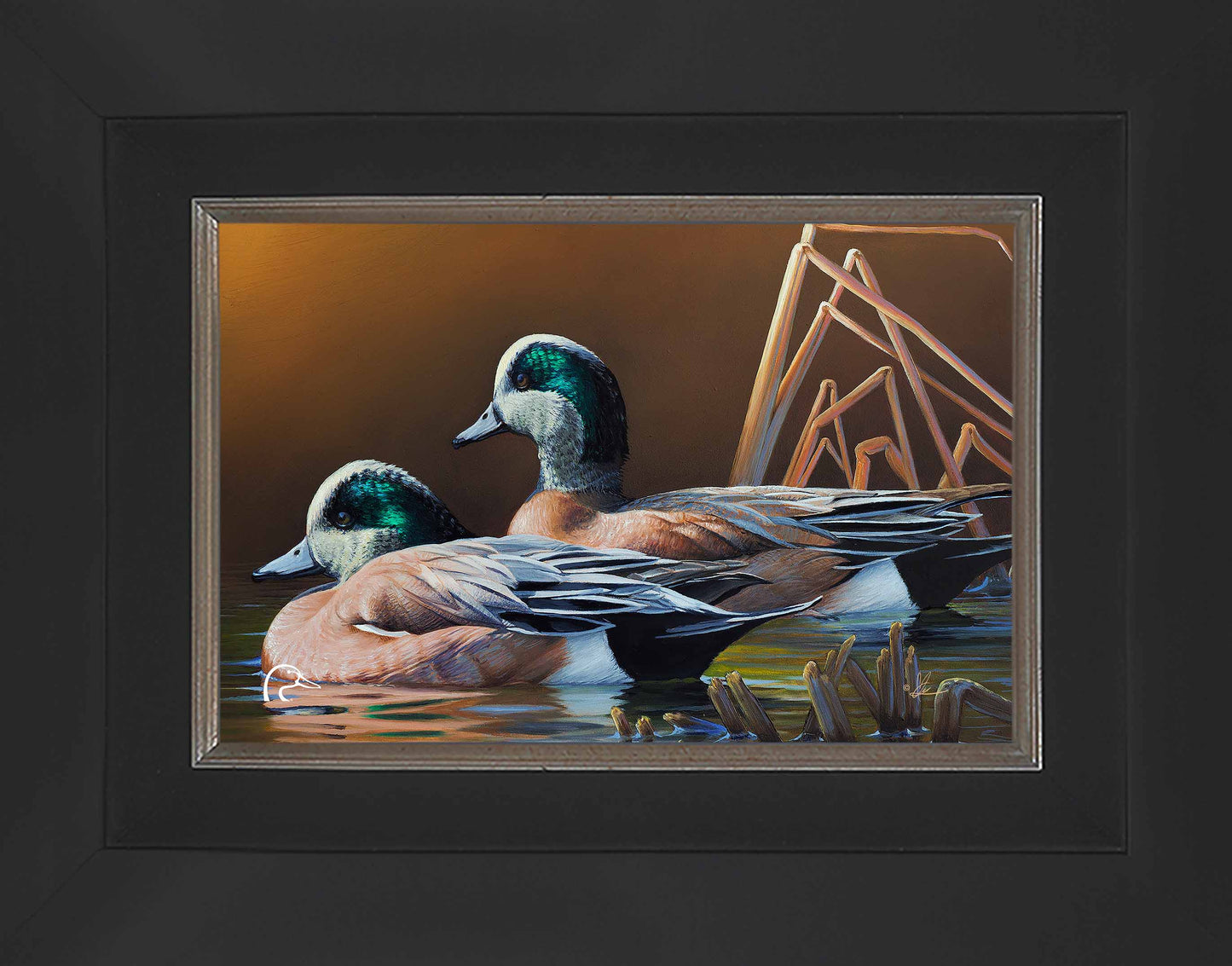 American Widgeon Limited Edition Canvas - Official Ducks Unlimited
