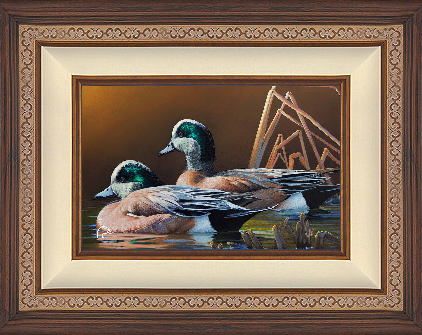 American Widgeon Limited Edition Canvas - Official Ducks Unlimited