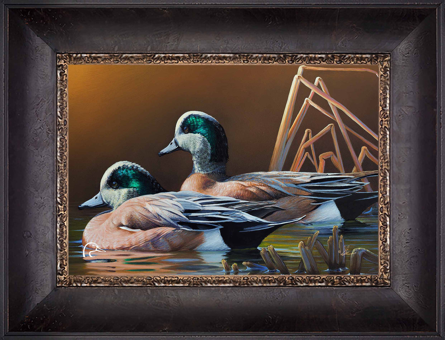 American Widgeon Limited Edition Canvas - Official Ducks Unlimited