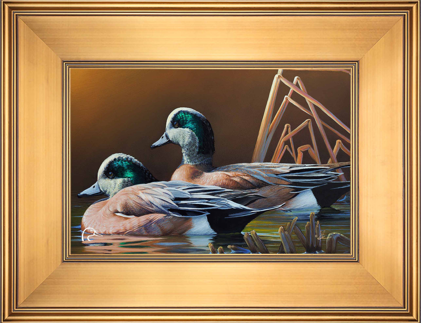 American Widgeon Limited Edition Canvas - Official Ducks Unlimited