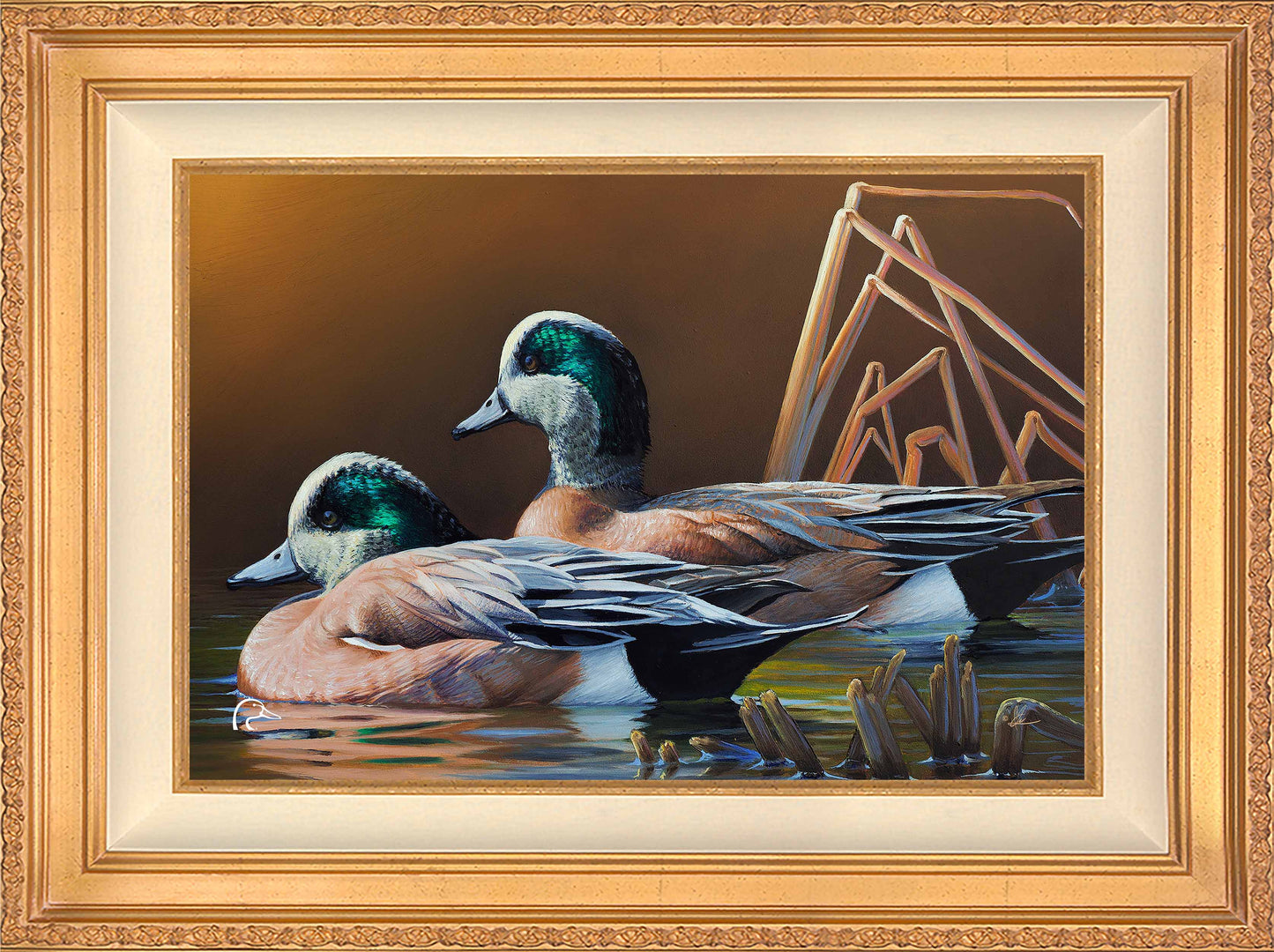 American Widgeon Limited Edition Canvas - Official Ducks Unlimited