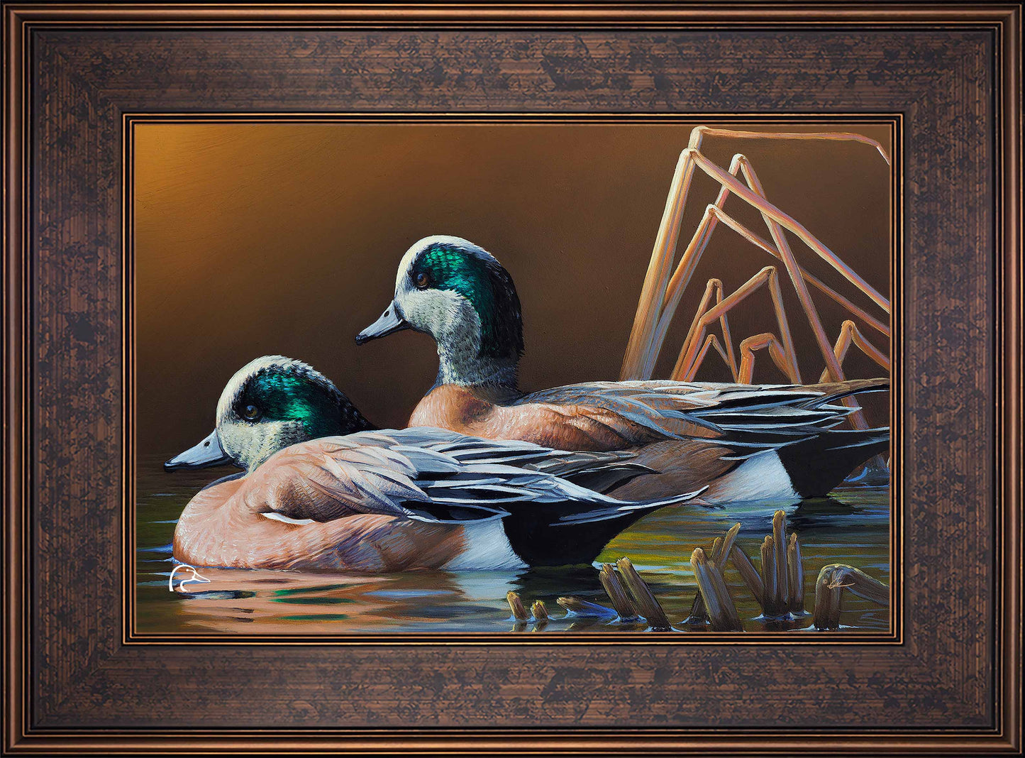 American Widgeon Limited Edition Canvas - Official Ducks Unlimited