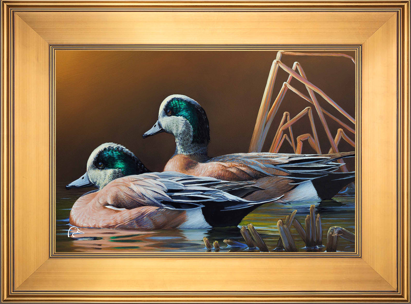 American Widgeon Limited Edition Canvas - Official Ducks Unlimited
