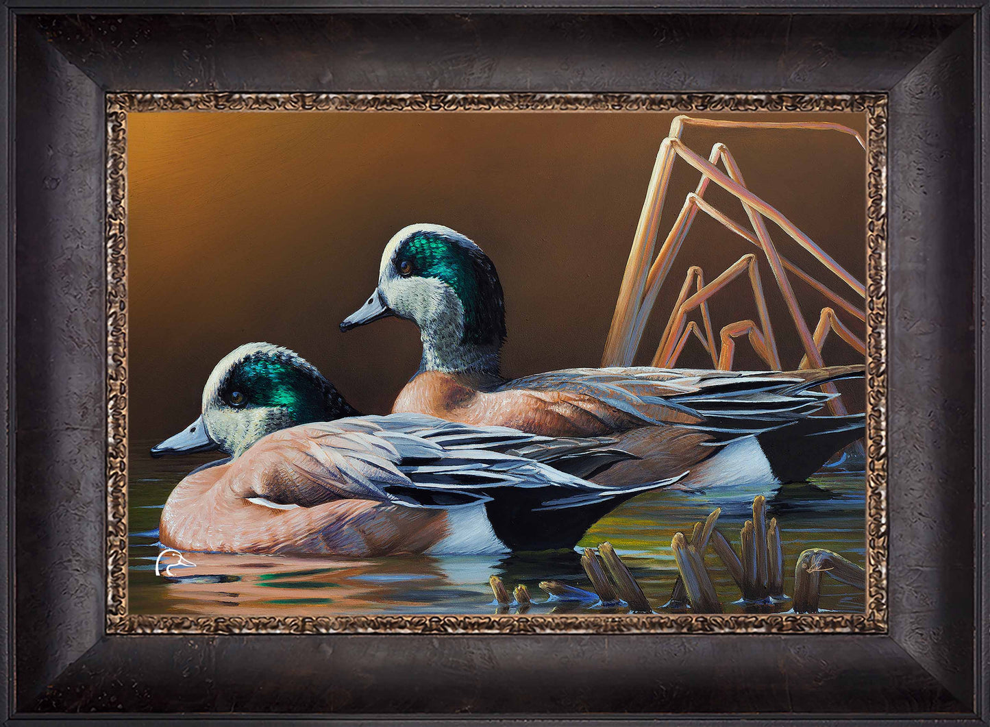American Widgeon Limited Edition Canvas - Official Ducks Unlimited