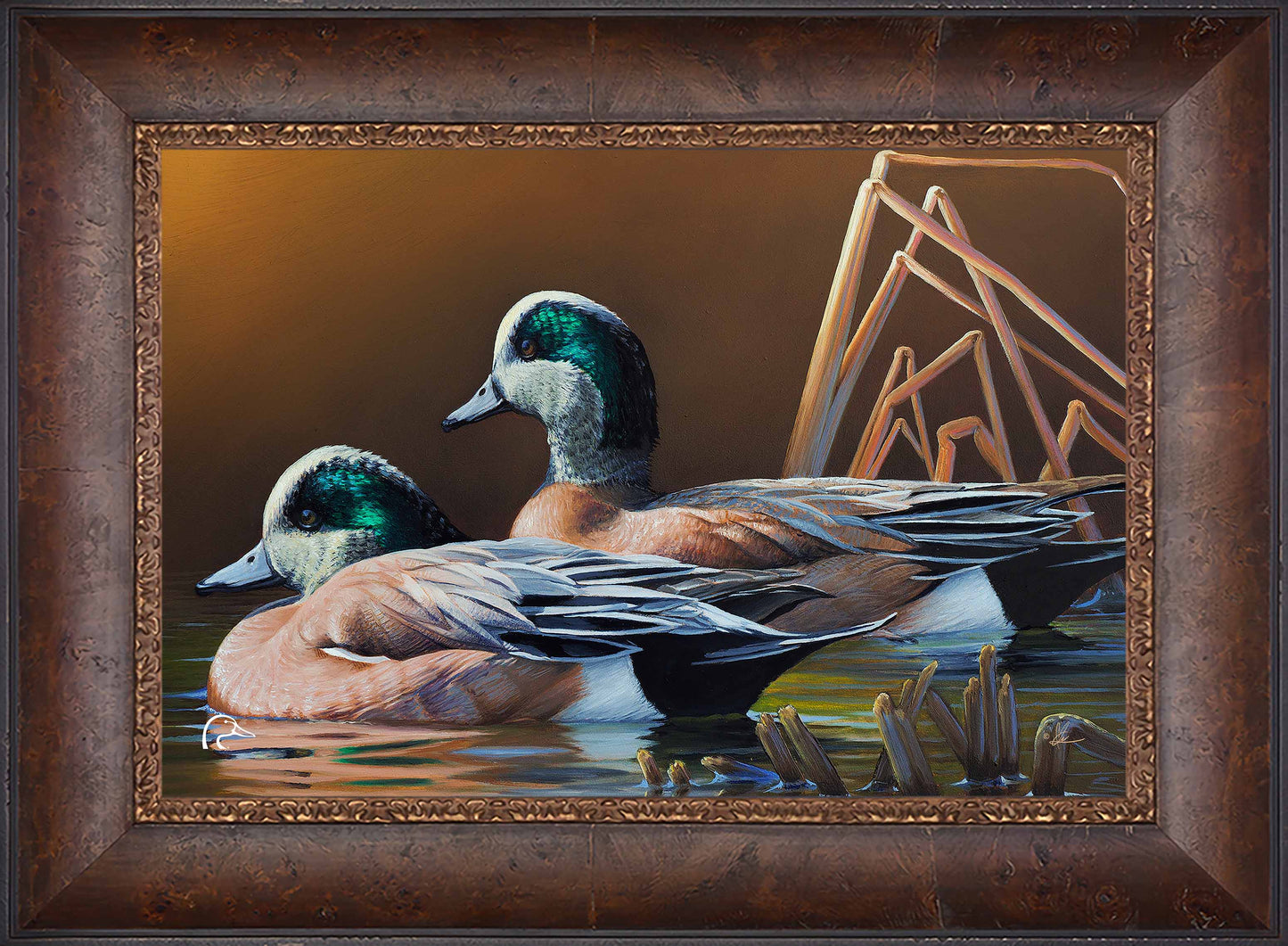 American Widgeon Limited Edition Canvas - Official Ducks Unlimited
