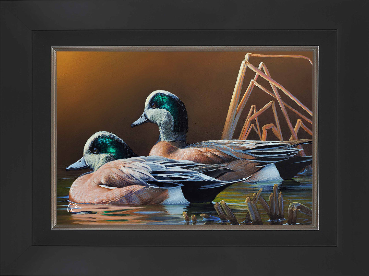 American Widgeon Limited Edition Canvas - Official Ducks Unlimited