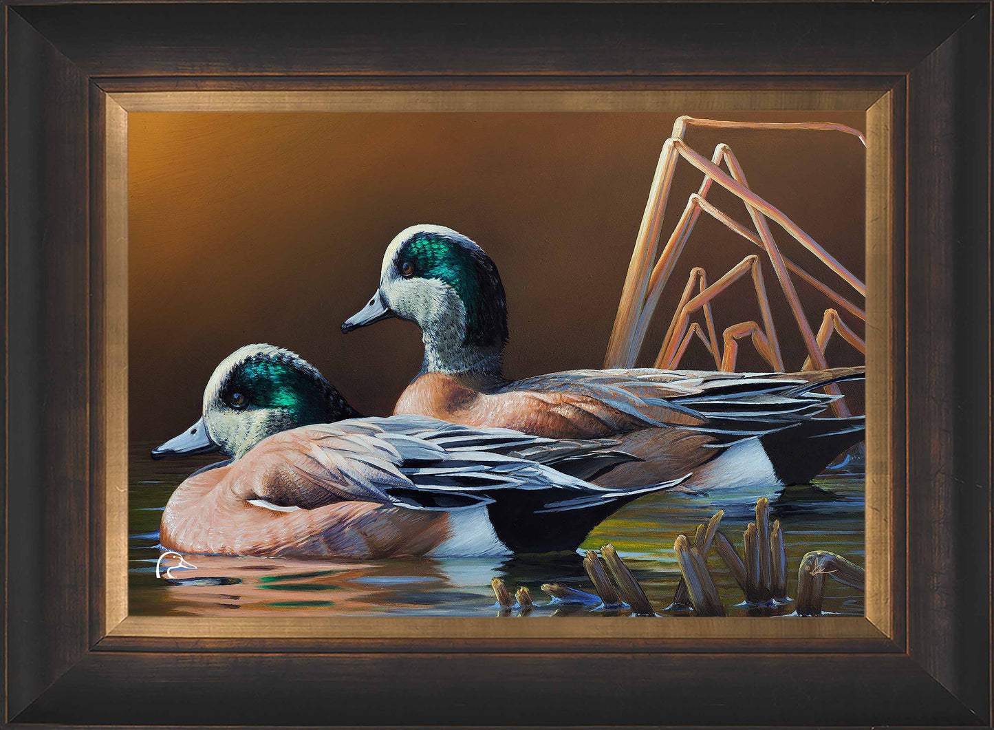 American Widgeon Limited Edition Canvas - Official Ducks Unlimited