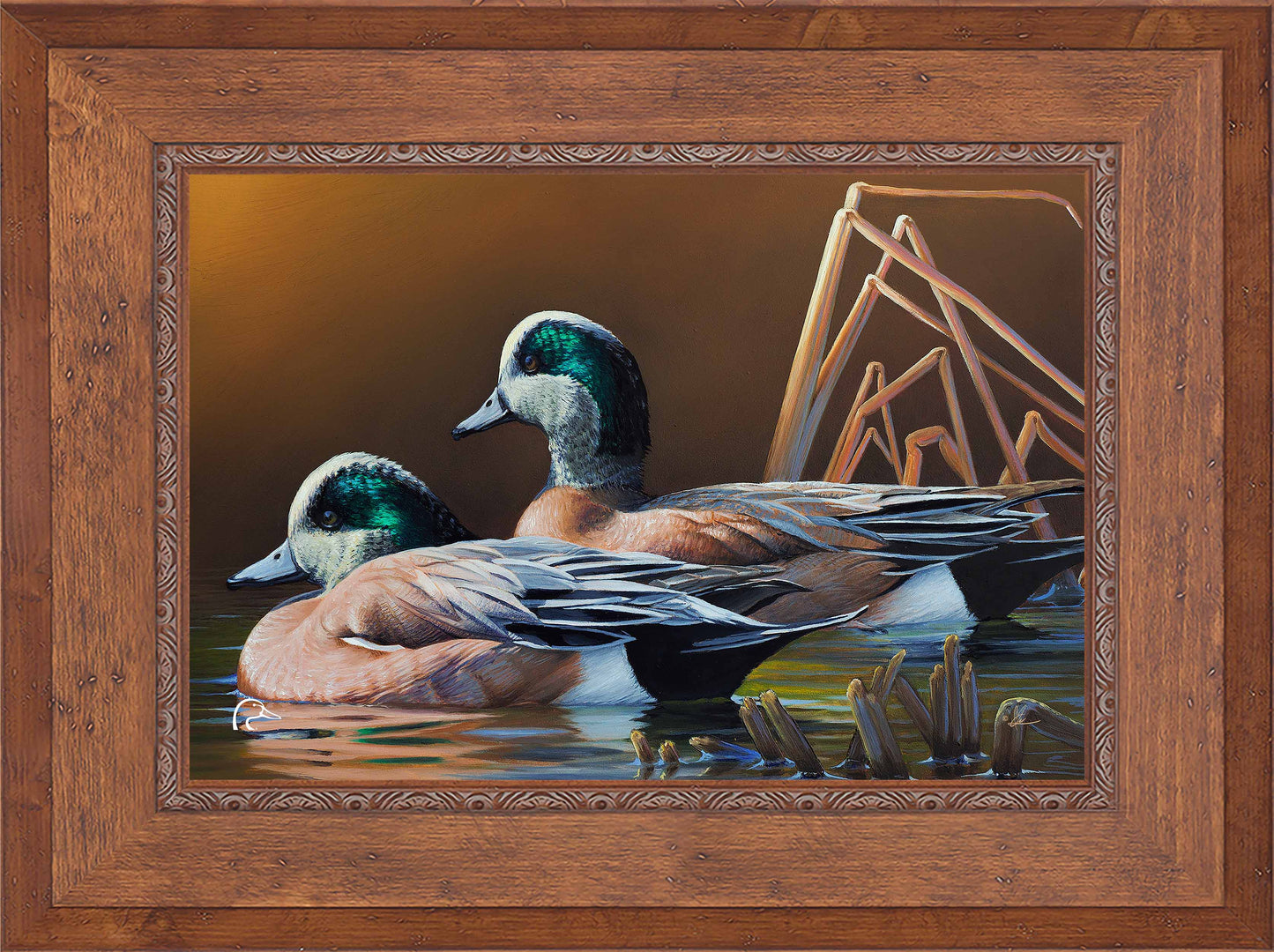 American Widgeon Limited Edition Canvas - Official Ducks Unlimited