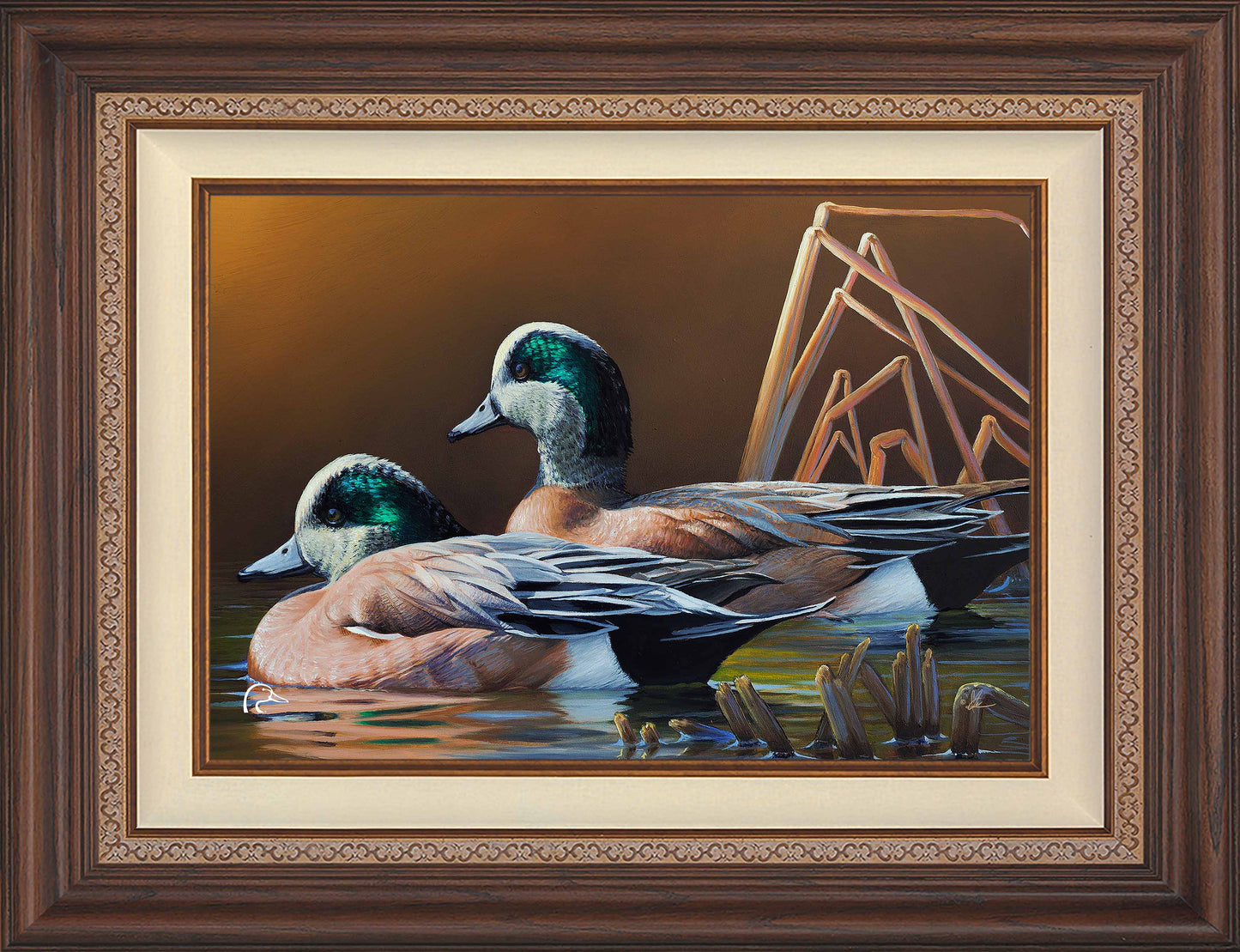 American Widgeon Limited Edition Canvas - Official Ducks Unlimited
