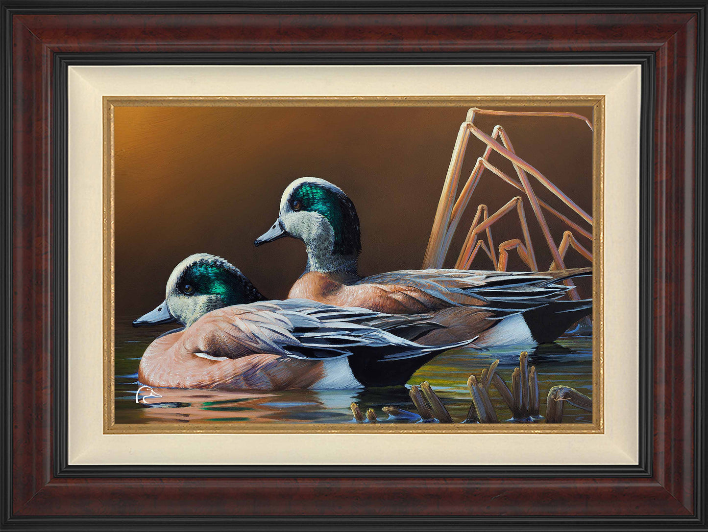 American Widgeon Limited Edition Canvas - Official Ducks Unlimited