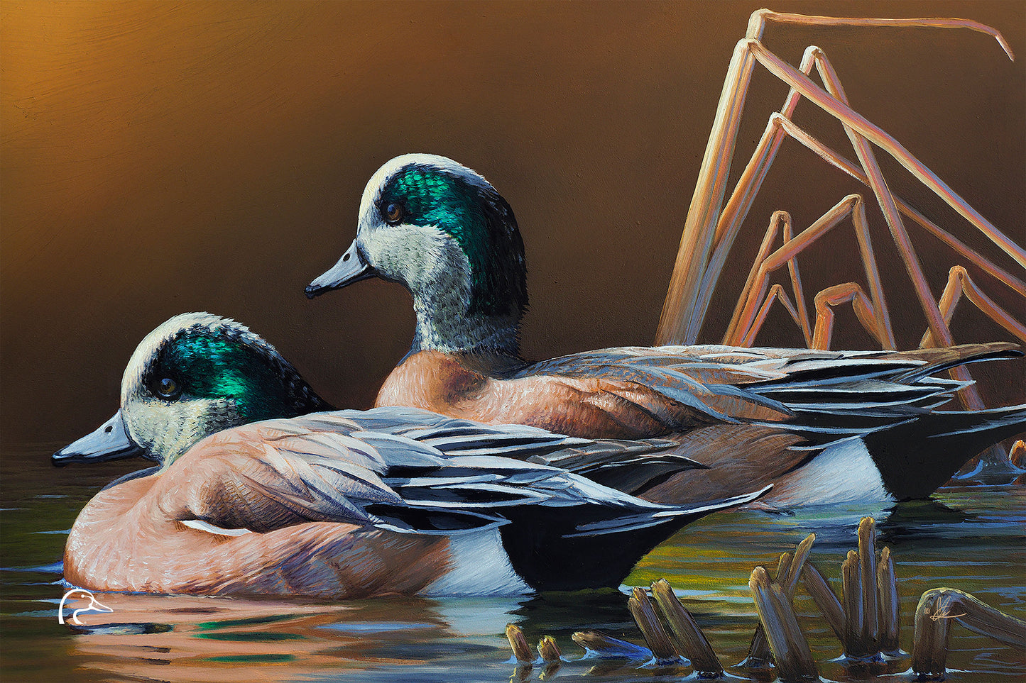 American Widgeon Limited Edition Canvas - Official Ducks Unlimited
