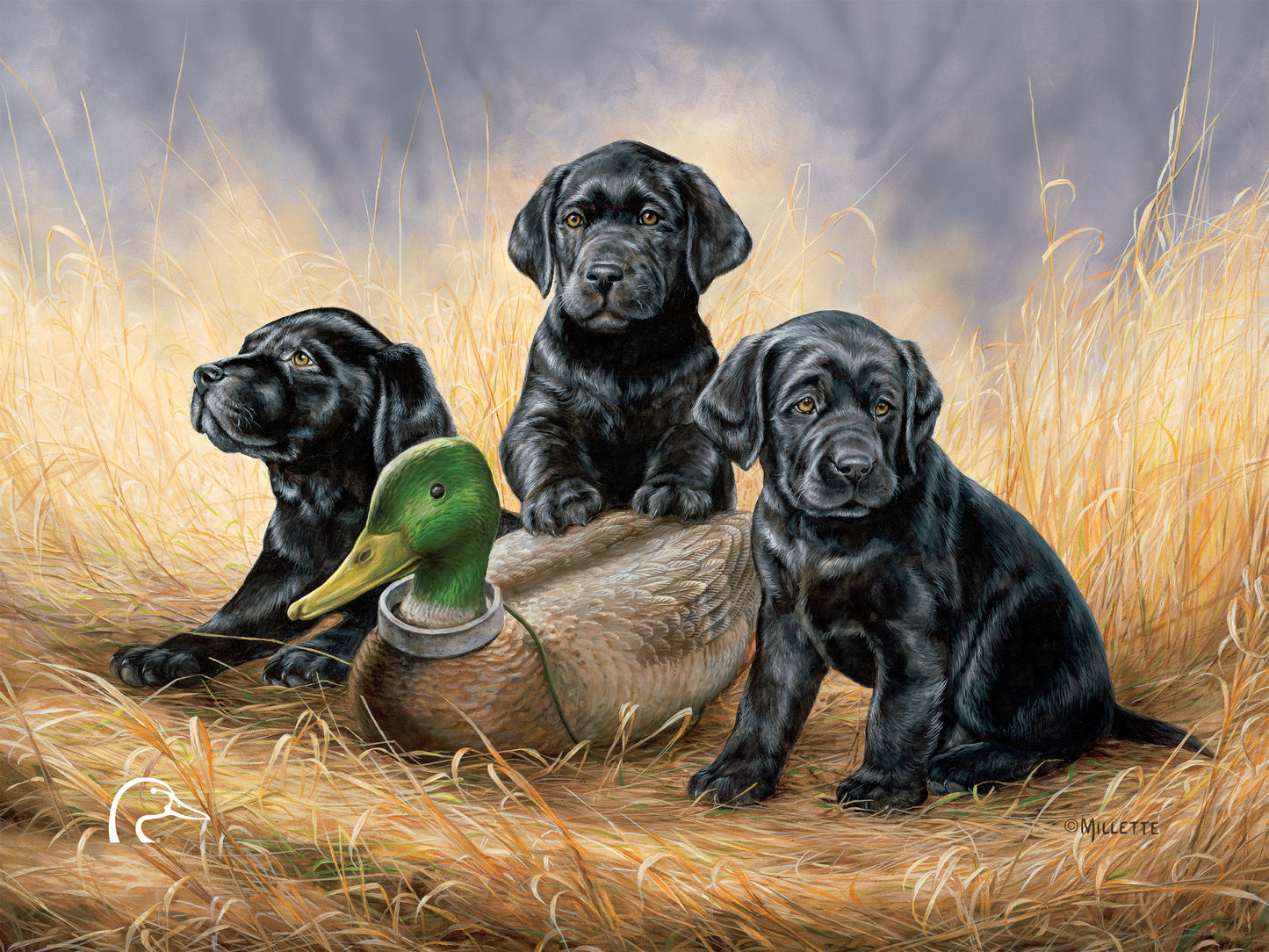 Ready for Class - Black Lab Puppies Limited Edition Canvas - Official Ducks Unlimited Art