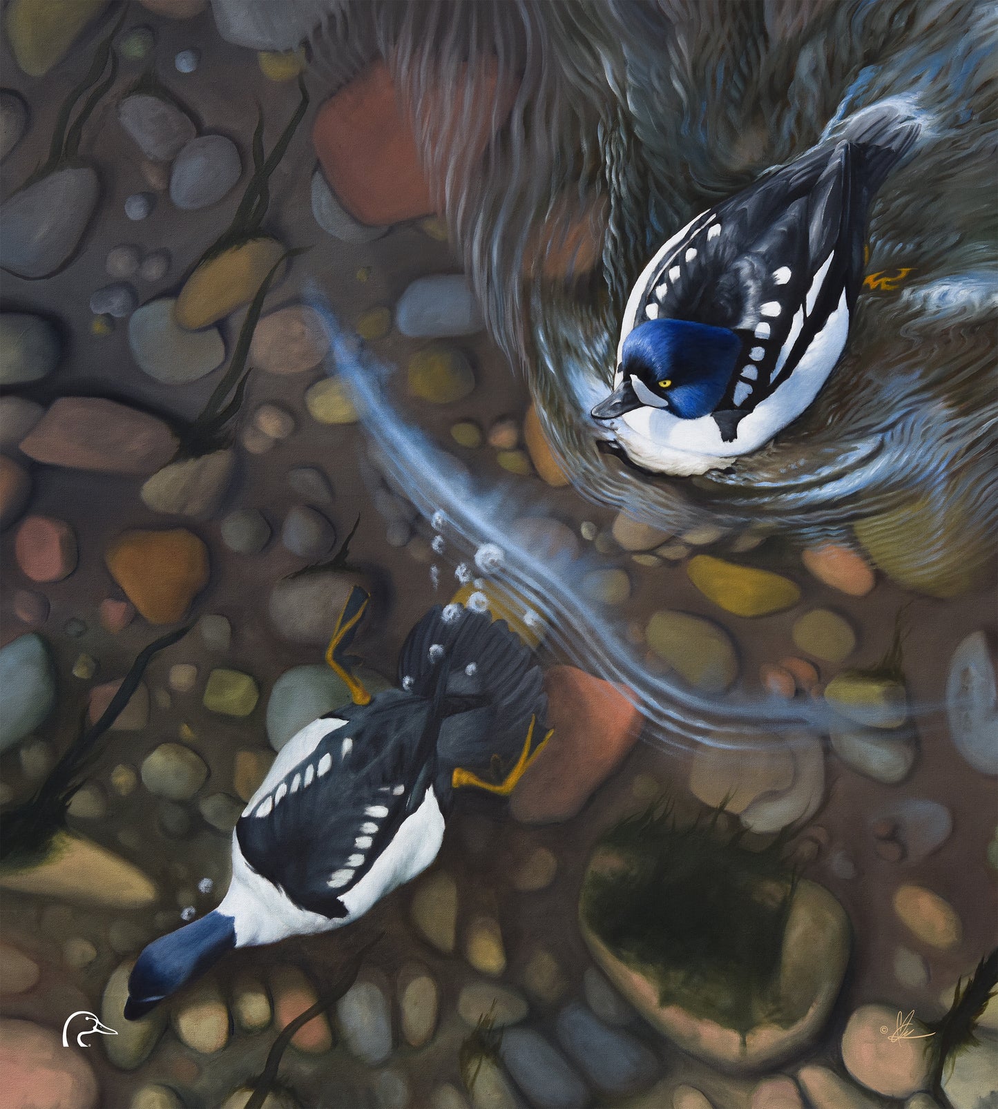 Lamar River Divers Limited Edition Canvas - Official Ducks Unlimited Art
