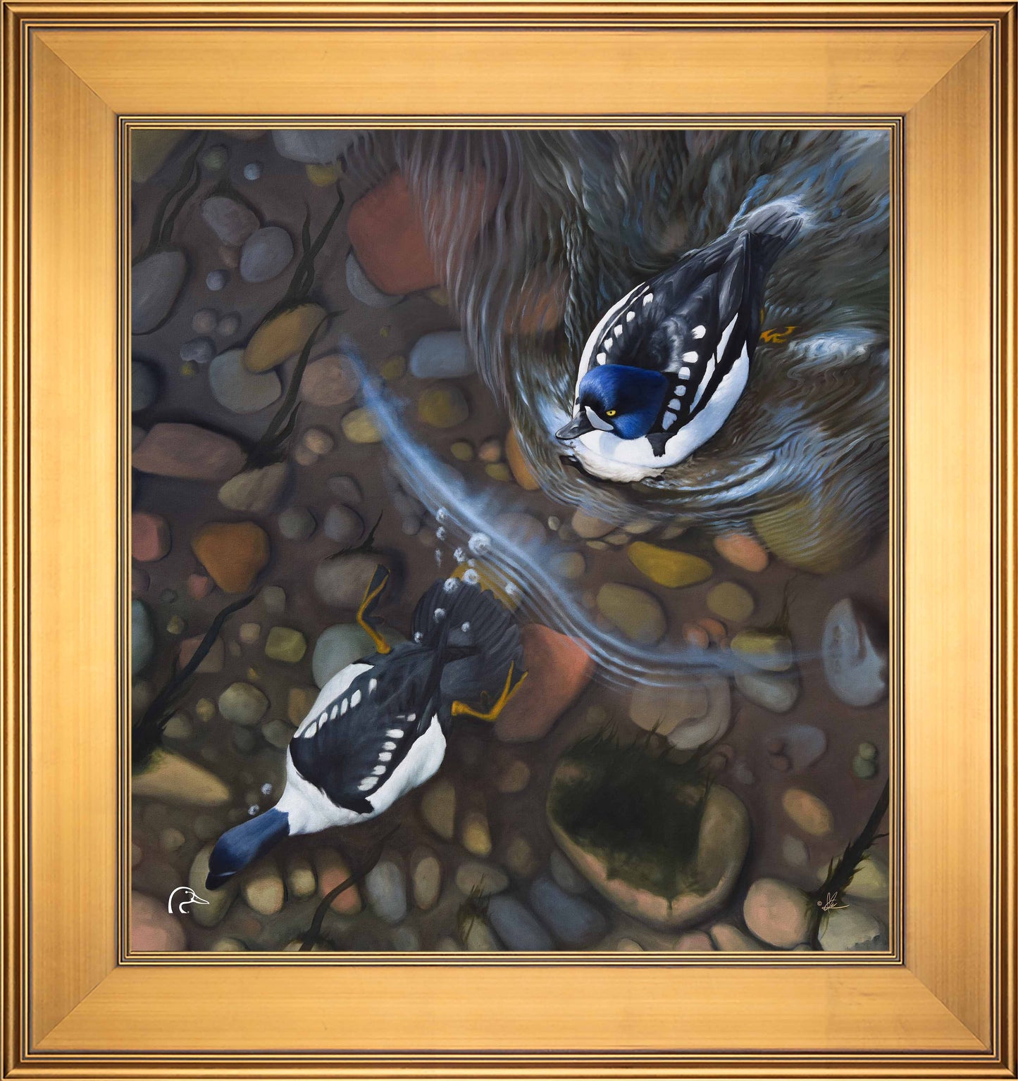 Lamar River Divers Limited Edition Canvas - Official Ducks Unlimited Art