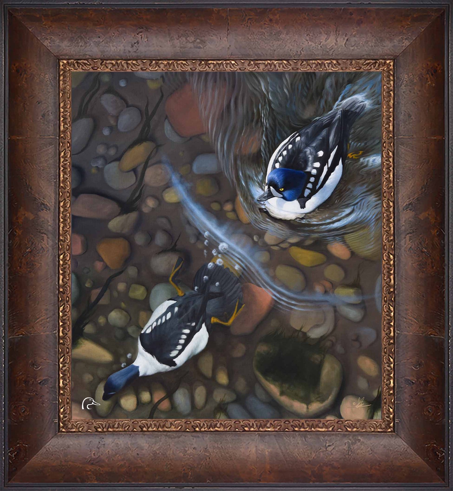 Lamar River Divers Limited Edition Canvas - Official Ducks Unlimited Art