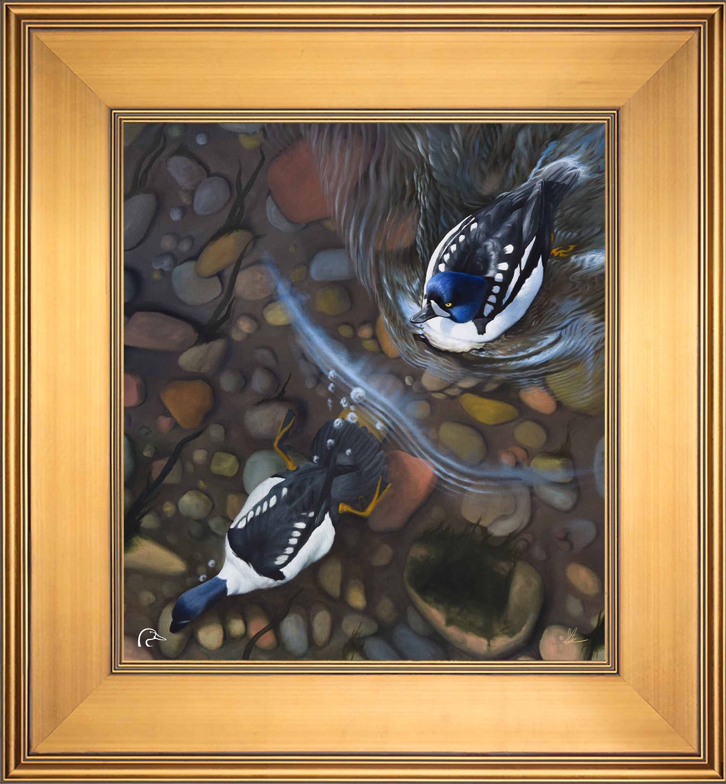Lamar River Divers Limited Edition Canvas - Official Ducks Unlimited Art