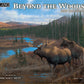 Beyond the Woods - 2027 Wall Calendar
