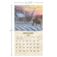 Beyond the Woods - 2027 Wall Calendar