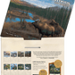 Beyond the Woods - 2027 Wall Calendar