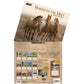 Horses in the Mist - 2027 Wall Calendar
