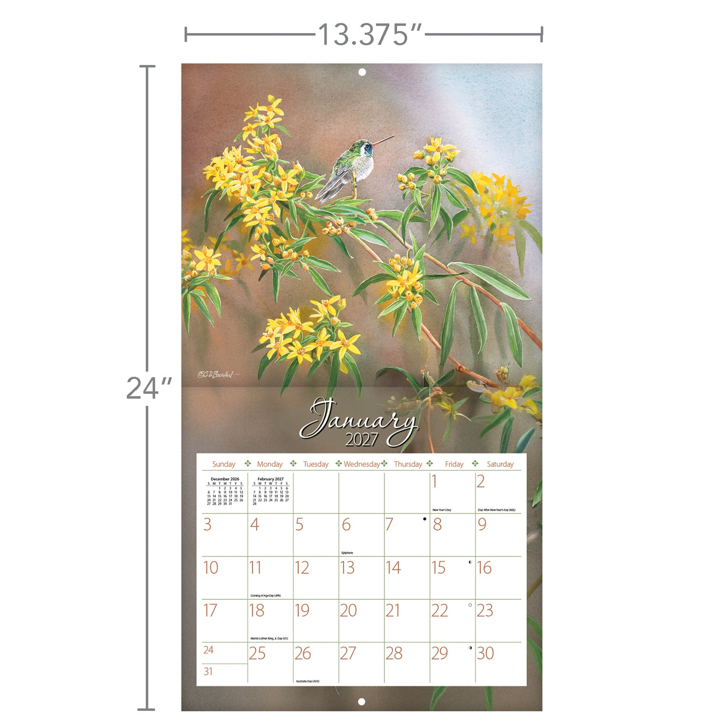 Hummingbirds - 2027 Wall Calendar