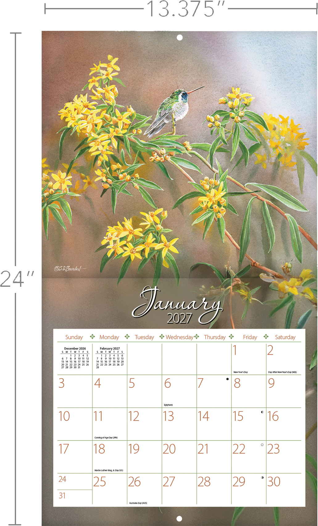 Hummingbirds - 2027 Wall Calendar