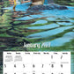 Loons in the Lake - 2027 Wall Calendar