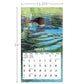 Loons in the Lake - 2027 Wall Calendar