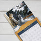 Love of Cats - 2027 Wall Calendar