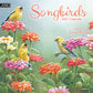 Songbirds™ - 2027 Wall Calendar
