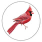 Cardinal Christmas - Coffee Mug