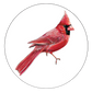 Cardinal Christmas - Coffee Mug