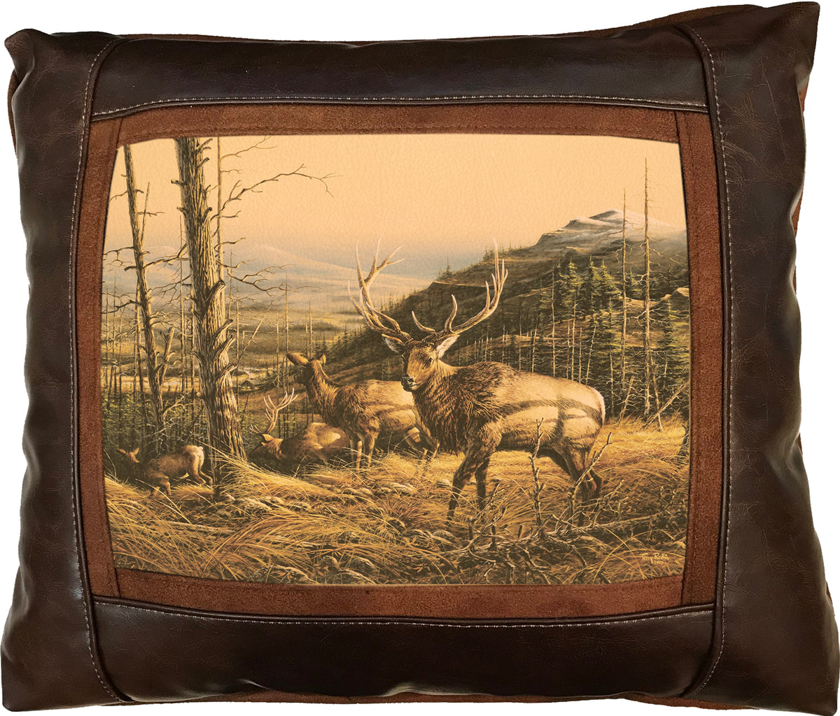 Passing Through - 15" x 17"  Leather Pillow