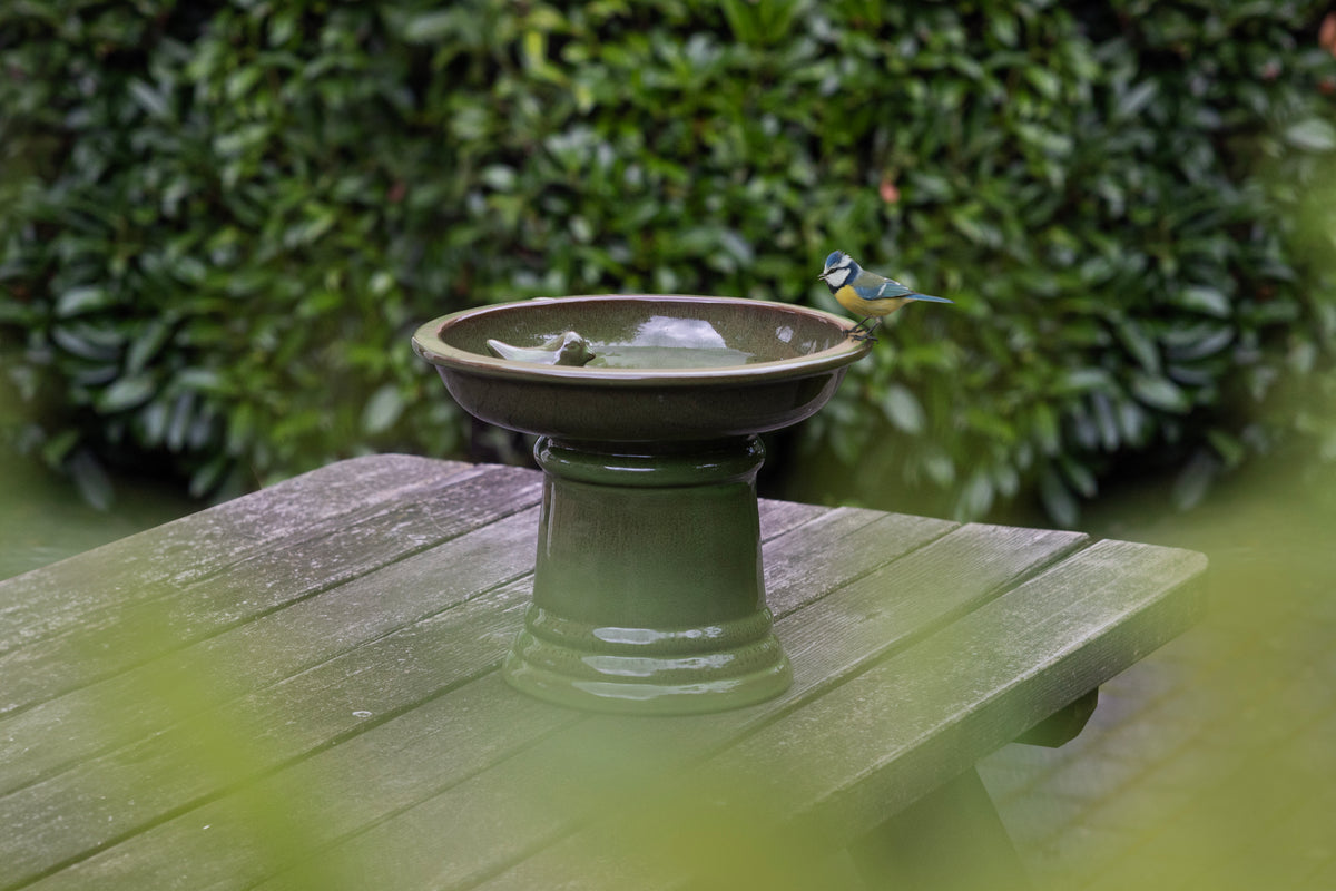 Bird Bath on Pedistal (Ceramic, Green)