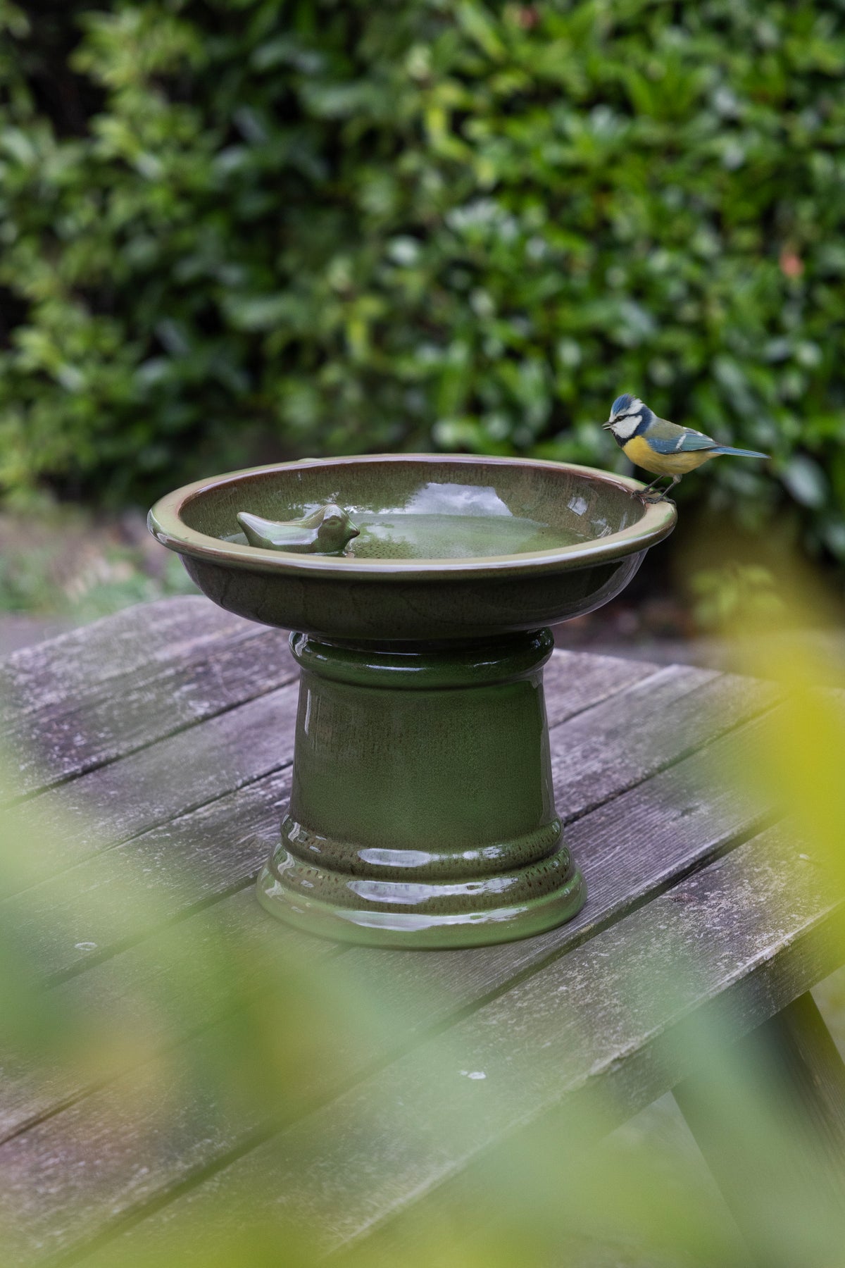 Bird Bath on Pedistal (Ceramic, Green)