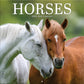 Horses 12" x 12" - Photo Wall Calendar