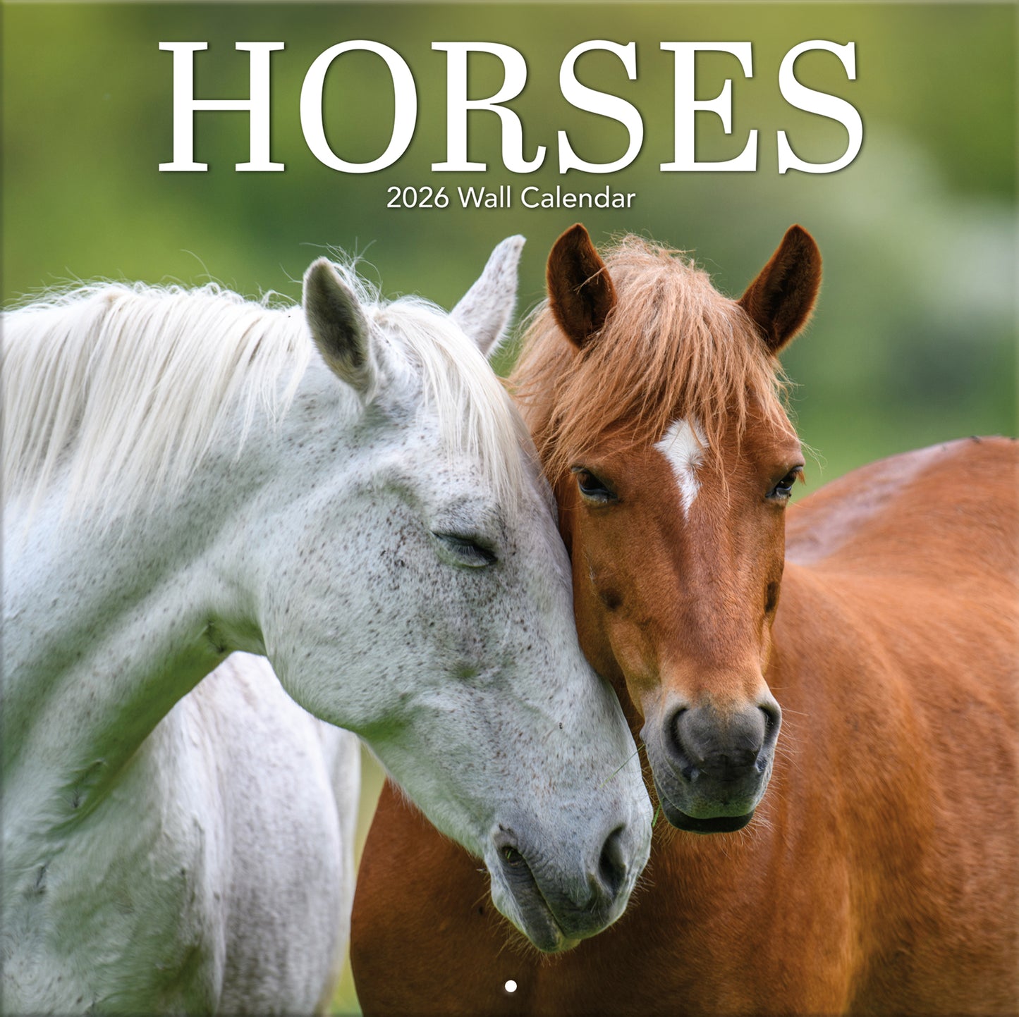Horses 12" x 12" - Photo Wall Calendar