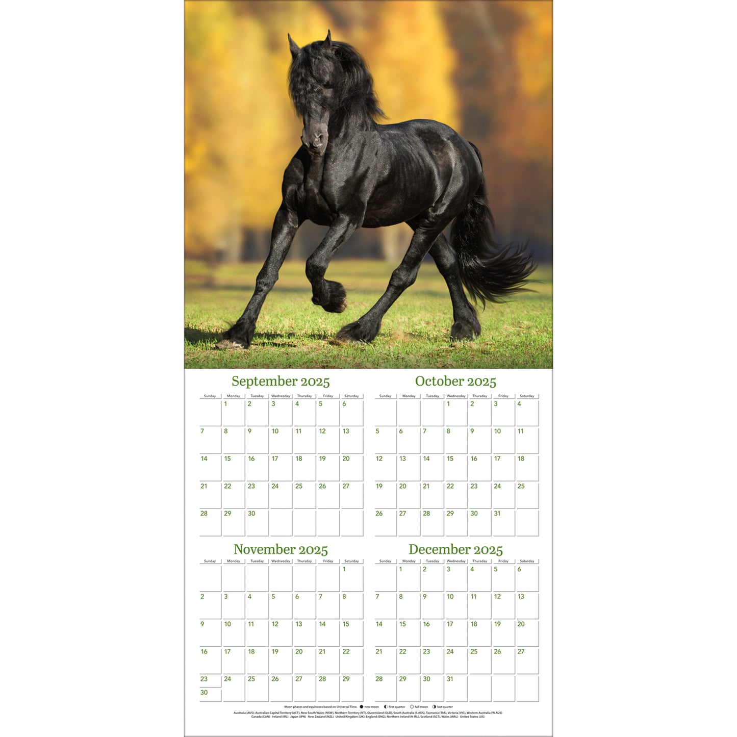 Horses 12" x 12" - Photo Wall Calendar