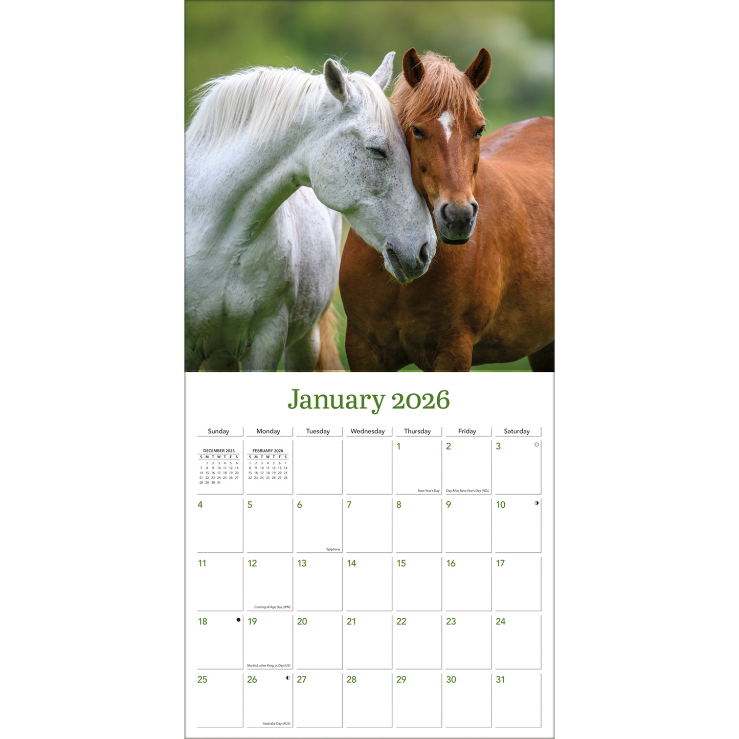 Horses 12" x 12" - Photo Wall Calendar