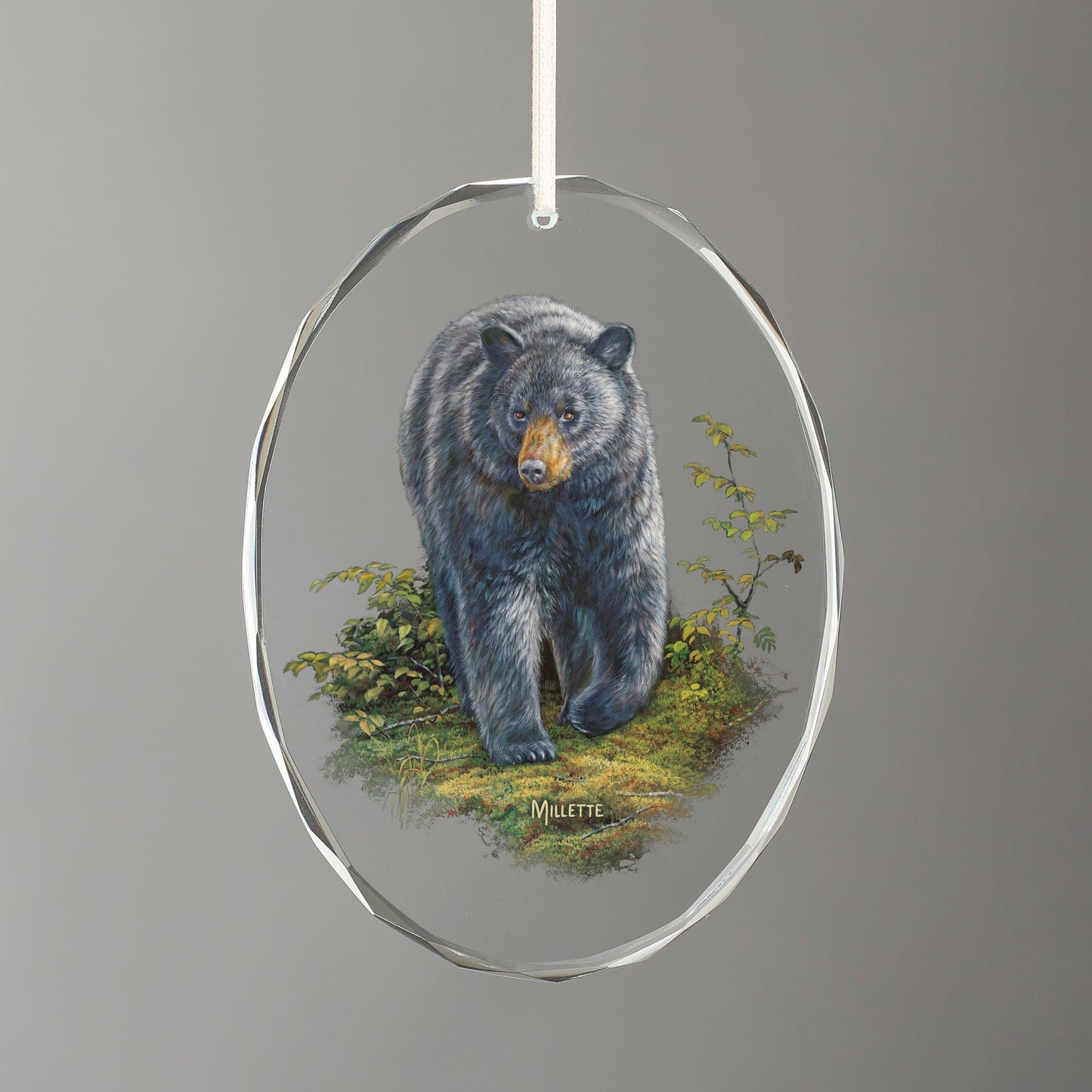 Rocky Outcrop-Black Bear - Oval Glass Ornament