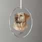 Loyal Companion - Yellow Lab - Oval Glass Ornament