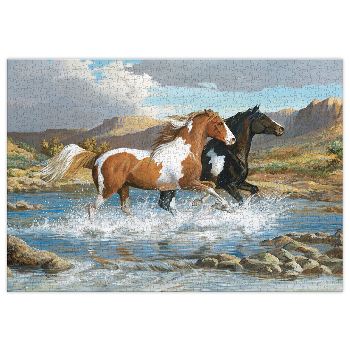 Stream Canter 1000 PCS - Puzzles