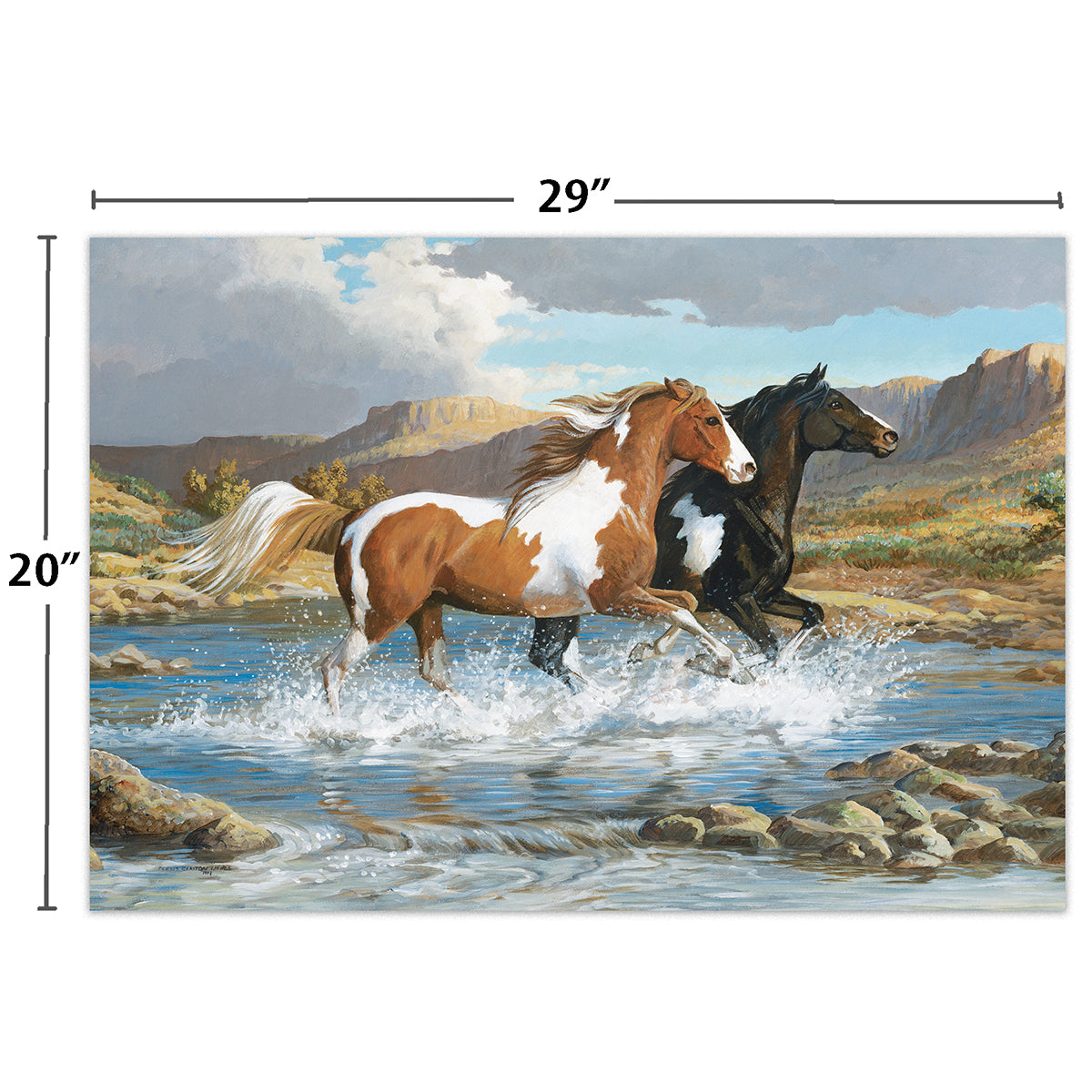 Stream Canter 1000 PCS - Puzzles