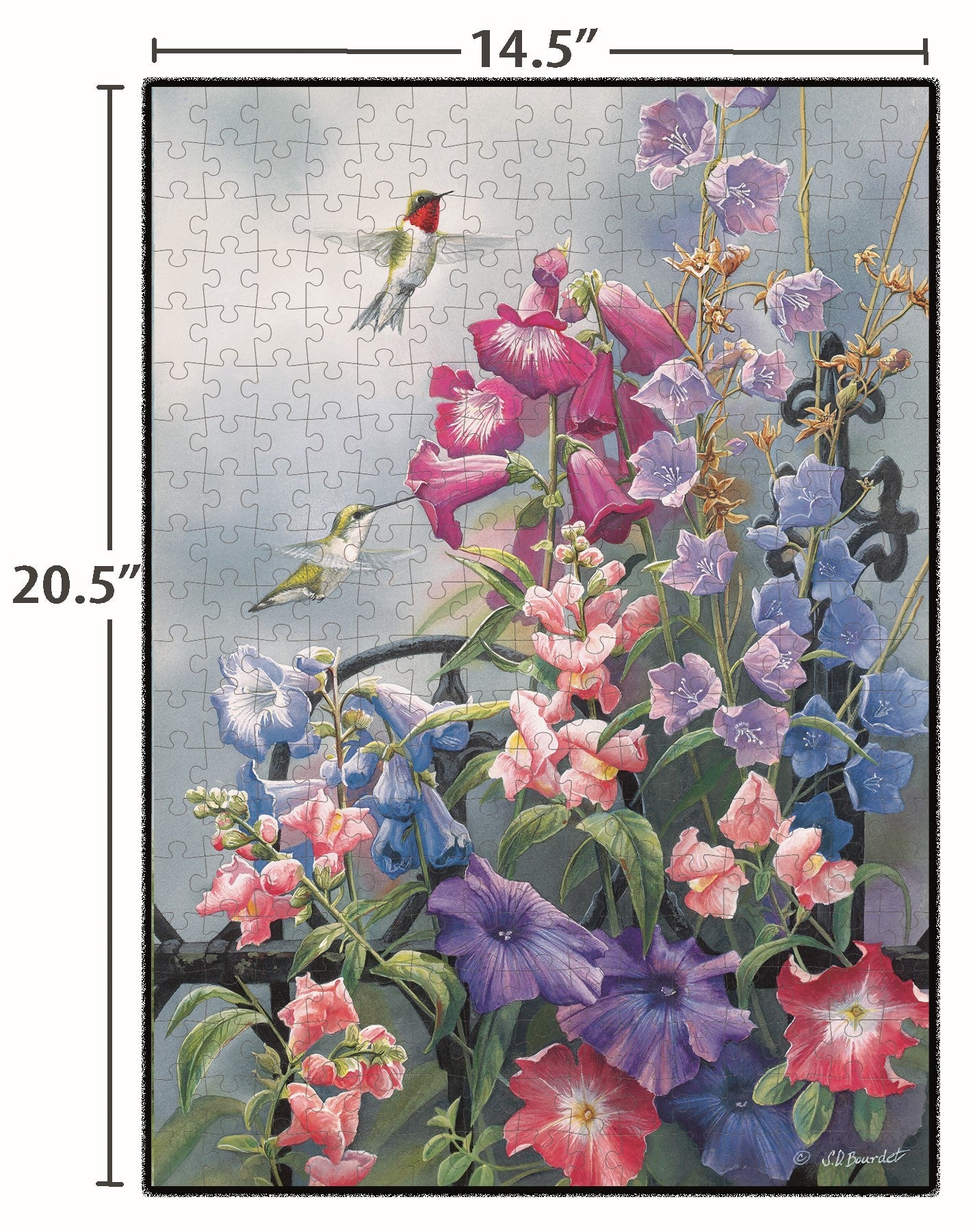 Hummingbird 300 Pcs - Puzzles