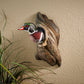 Wood Duck in Tree - Wall Sculpture
