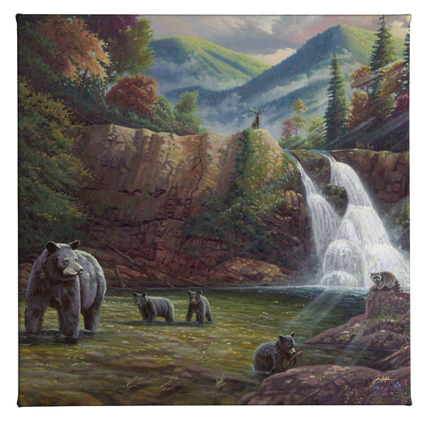 Spirit of the Smokies - 14" x 14" Gallery Wrapped Canvas