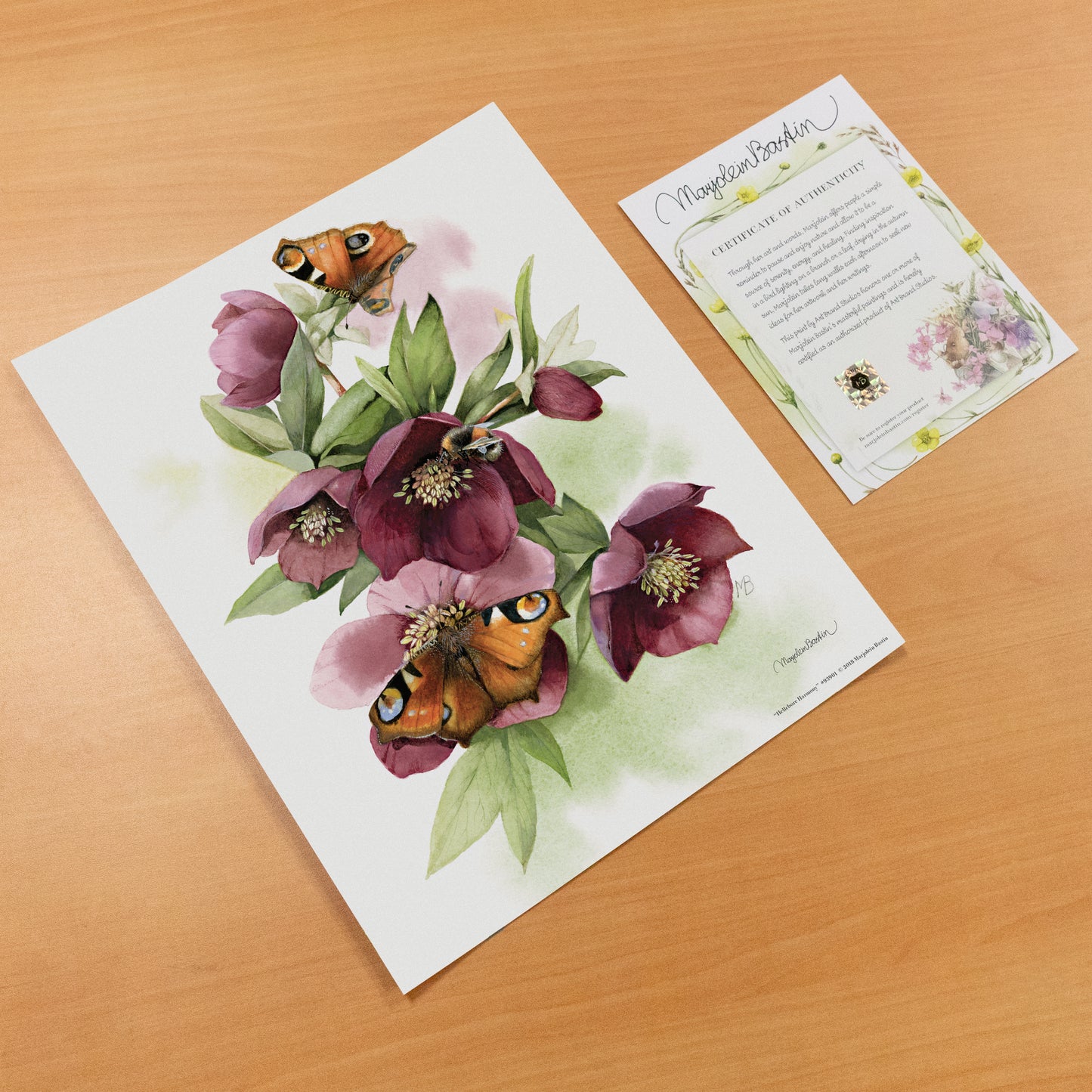 Hellebore Harmony - Art Prints