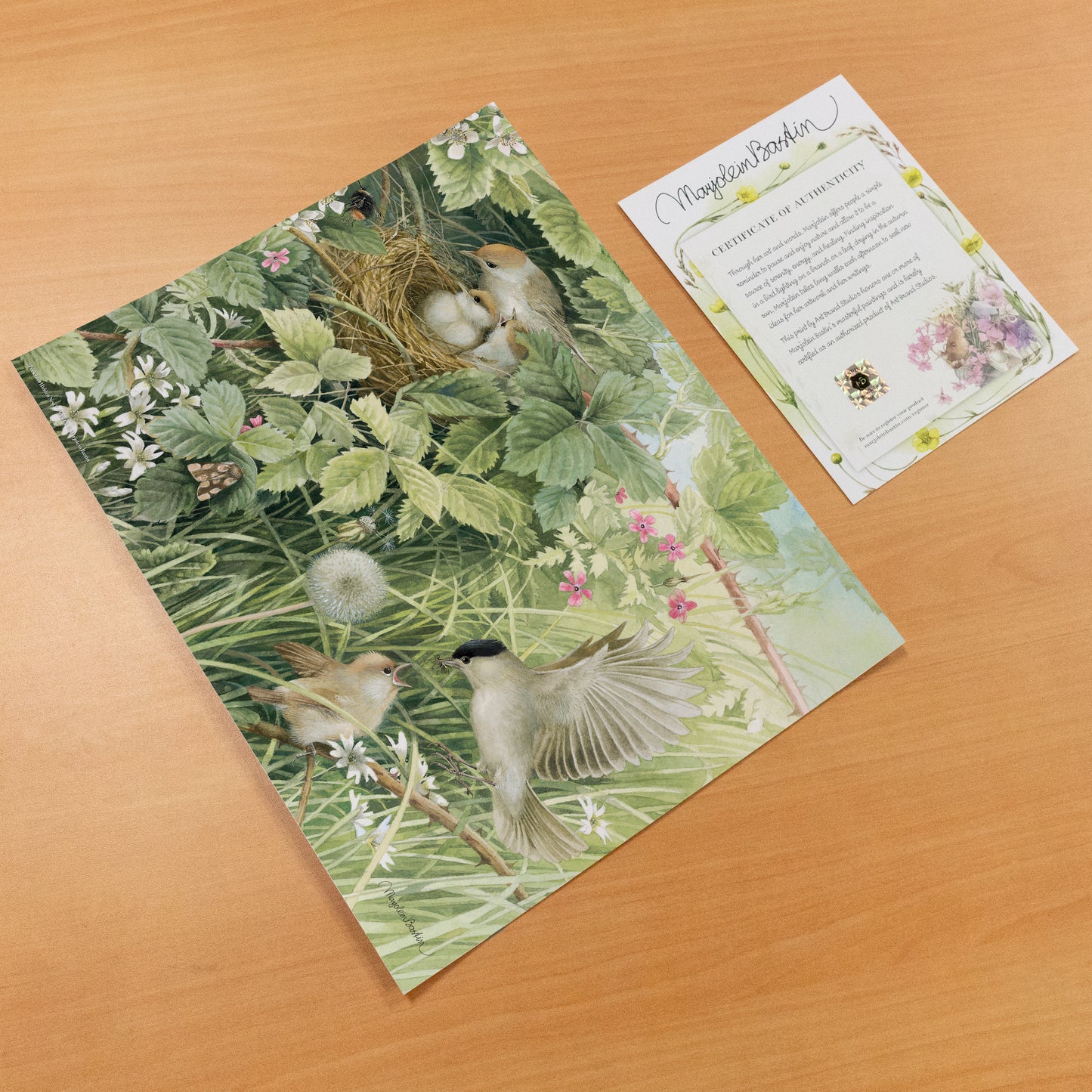 Hidden Nest - Art Prints